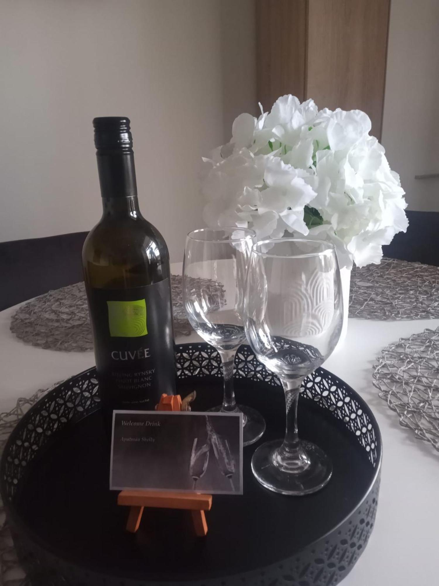 Apartman Shelly Vlachy Εξωτερικό φωτογραφία